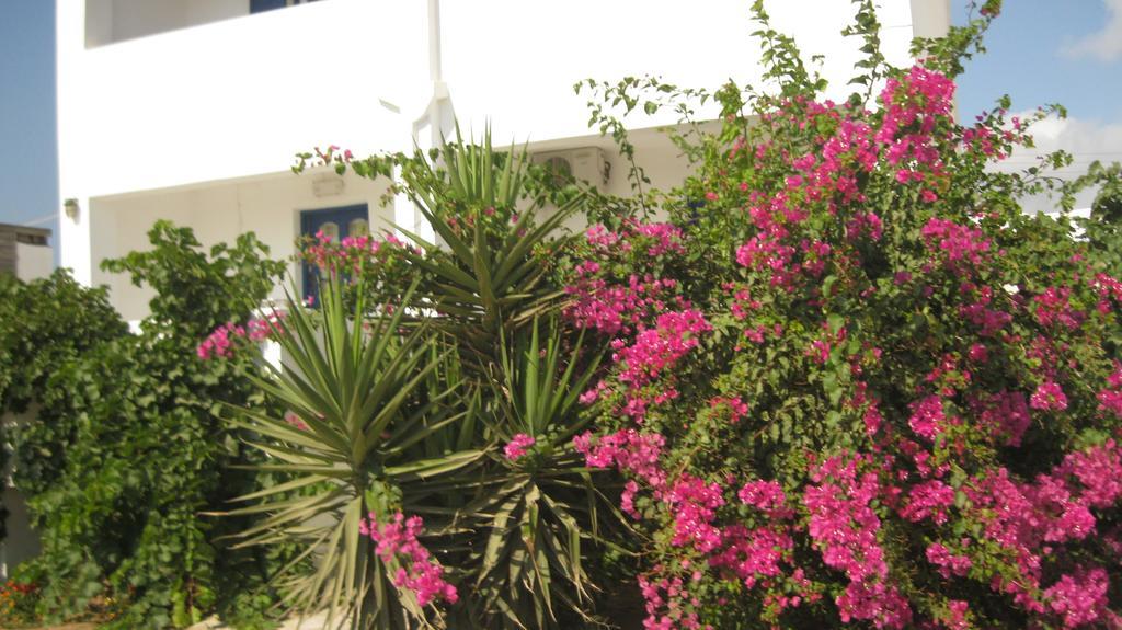 Aronis Plaka Naxos Apartment Ngoại thất bức ảnh